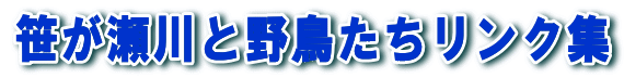 Ɩ쒹NW 
